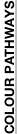 shapeimage_8_link_0